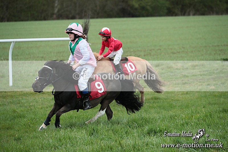 SHETPR 210425 206 - Shetland Ponies Paxford Races 21/04/25