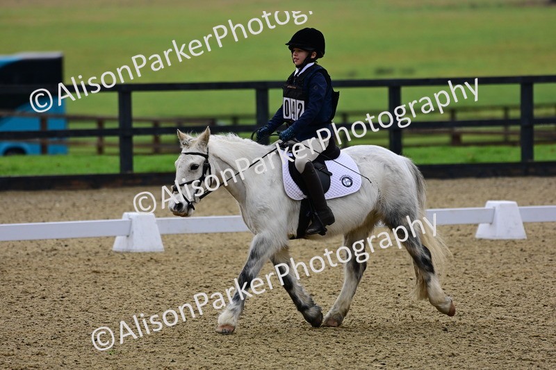 20260125-0515 - Class 9b - Walk Trot Unassisted