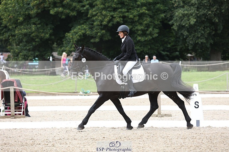 230812-123403-04039 - Cls 5 Novice Bronze 11.15 to 12.50 break