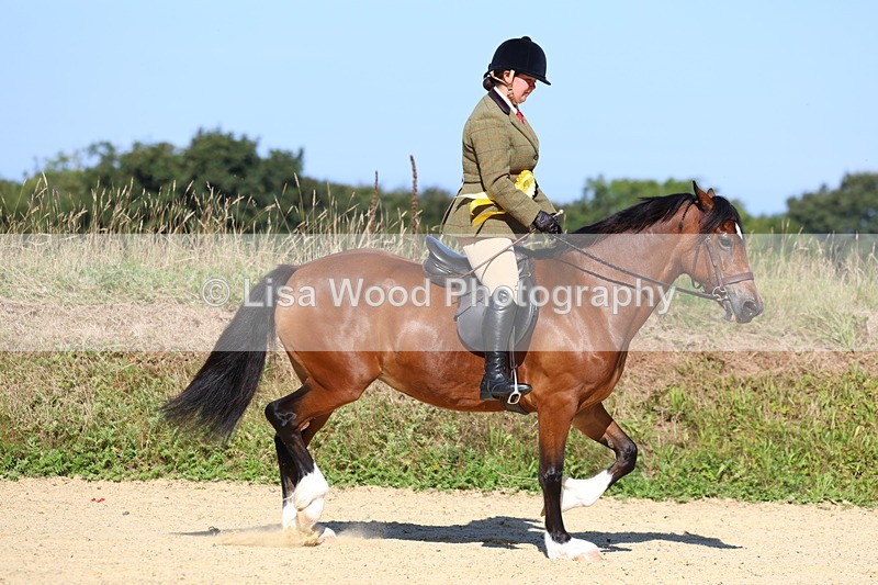 3E7A7992 - Class 14: Tack and Turnout