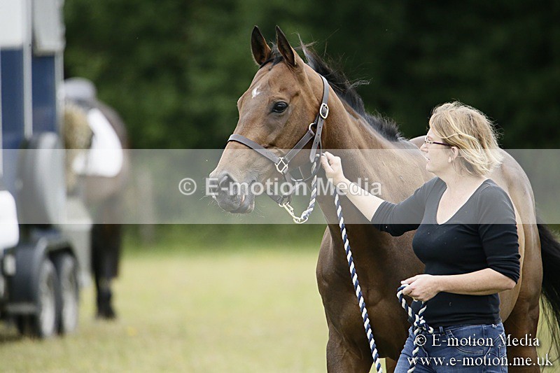 BVR160717-8 - Caught on Camera 16/07/17