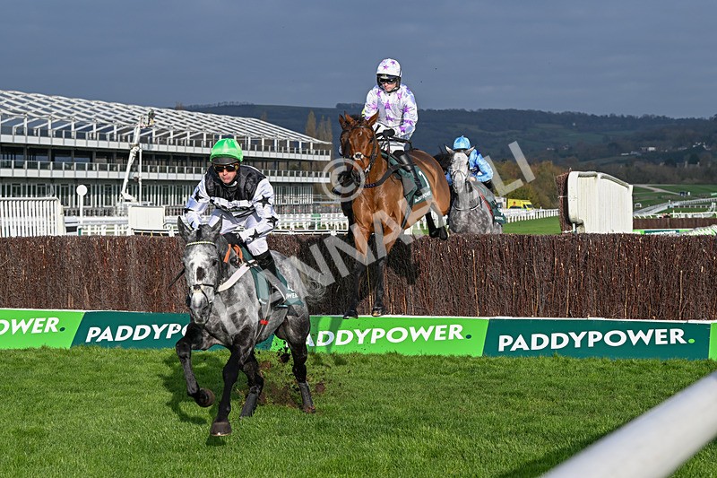 151124-Race 2-Springwell Bay-7404 - Race 2