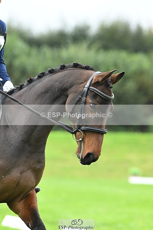 241024-102510-03016 - 410-Mae.Jackson-SWEET.RIOT