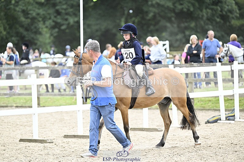 240822X-133435-08252 - 40cm LR R2 13.00 to 15.00