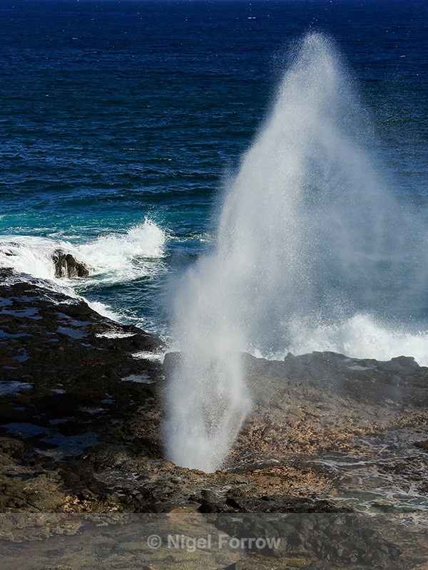 Blowhole at Spouting Horn Park, Kauai - Hawaiian Islands, USA