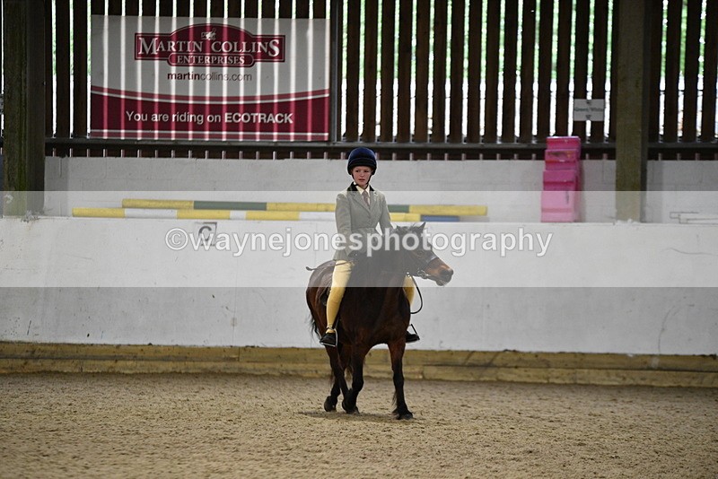 WJ5_8131 - Class 14 Novice Ridden/Rider