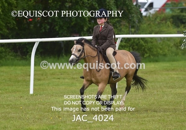 JAC_4024 - 40CM WORKING HUNTER