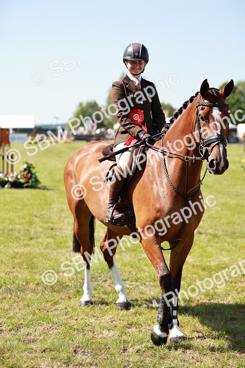 SBM_18459 - Class 112-113 - BSPS LIHS Working Sports Pony