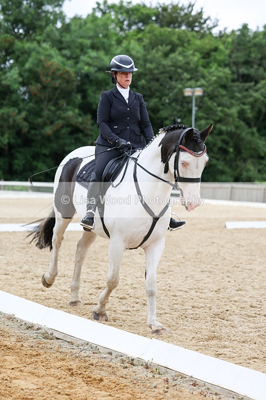 3E7A0835 - Class 6: Novice 1 2024 Section B