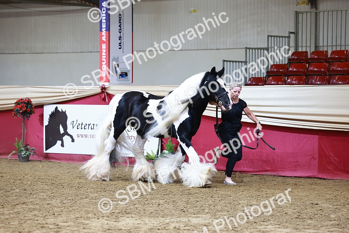 SBM_22266 - Class 902 - Supreme Final - IH Diamond