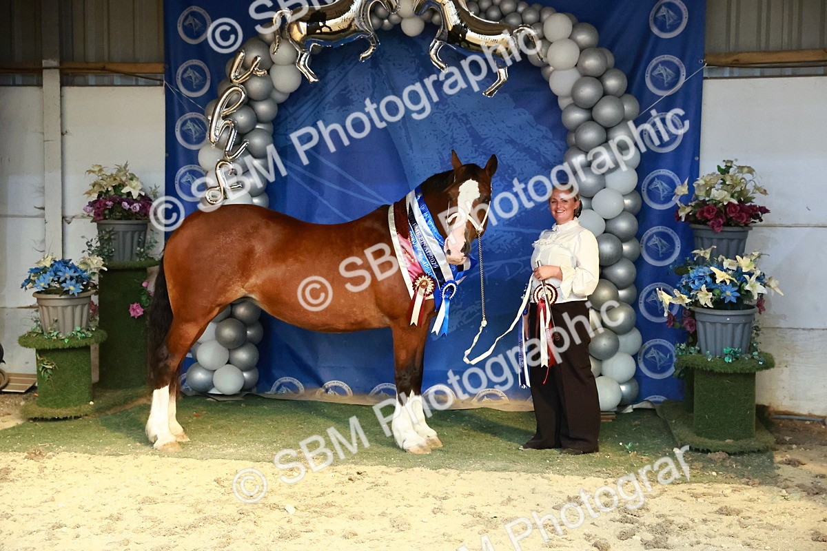 SBM_17998 - M&M Supreme Final Champ