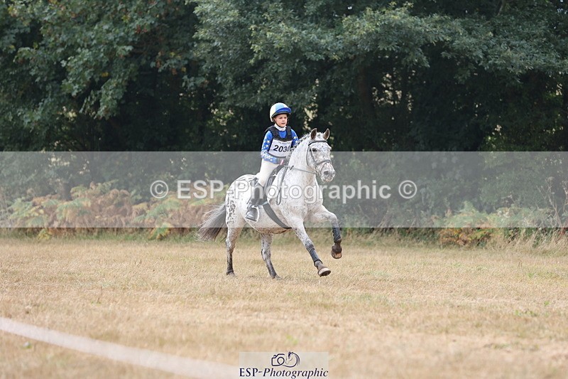 250824A-124723-36726 - 2030-Robert.Melia-Phoenix