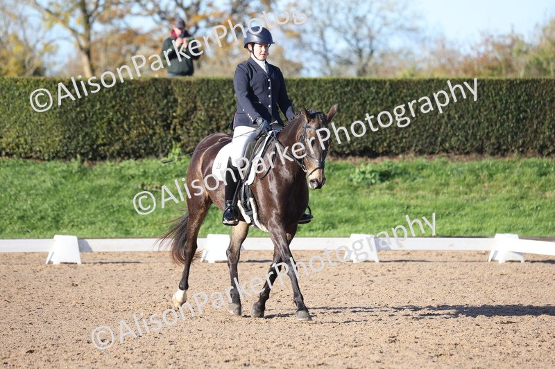 20251102-0380 - Class 3 - Novice 5