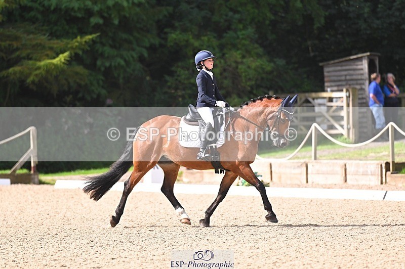 240809-100037-00016 - 211-Amelia.Dovey-Caederwen.Lady.Elinor