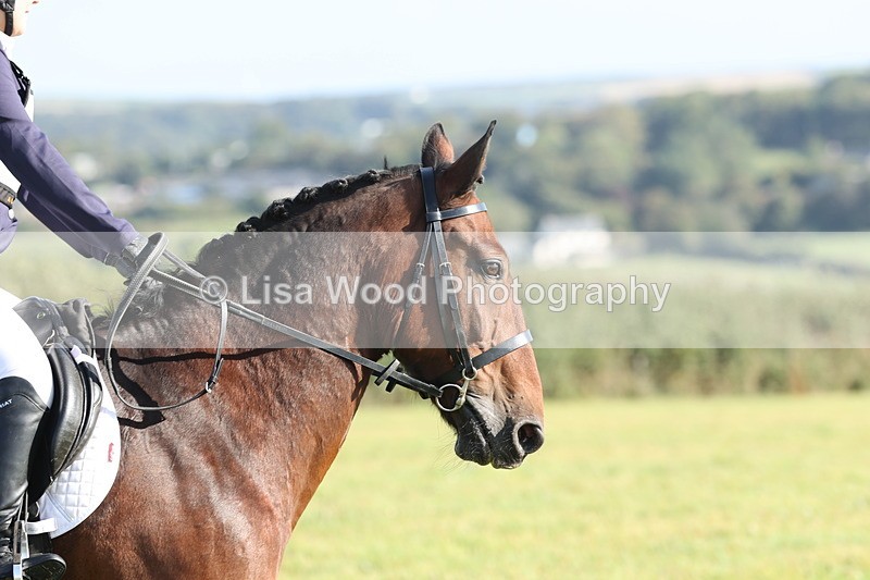 JPP_7919 - Class 2A: Trekenning Open: Dressage