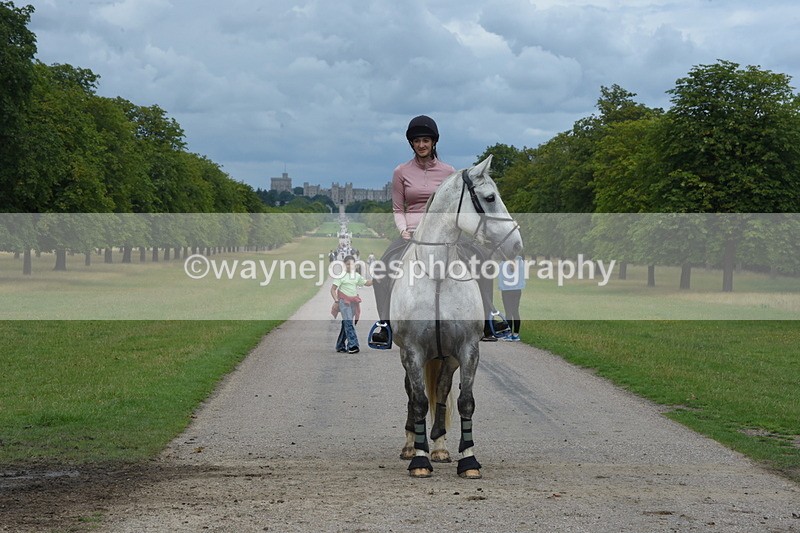 TT3_9784 - Time at Crossing 11:28 to 13:16