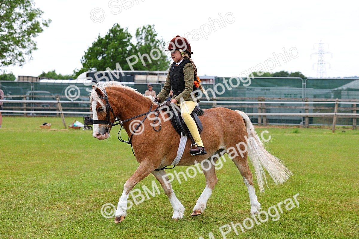 SBM_08735 - Class 42-43 - LIHS BSPS Heritage Working Sports Pony