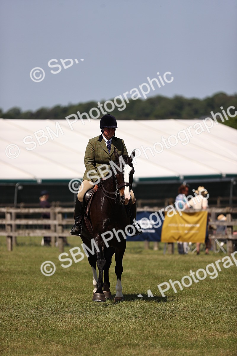 SBM_17916 - Class 81-83 - TSR Ridden Amateur of the Year - Horses