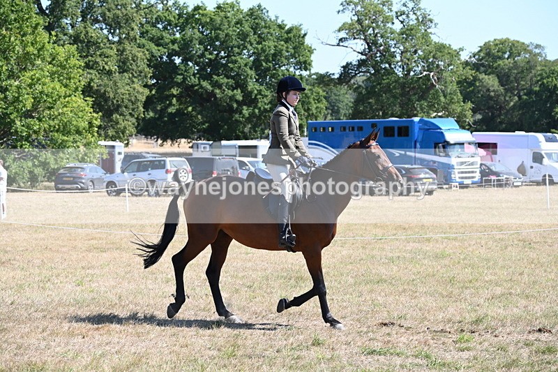 WJ6_8355 - Class 37a Best Loan Pony Ridden