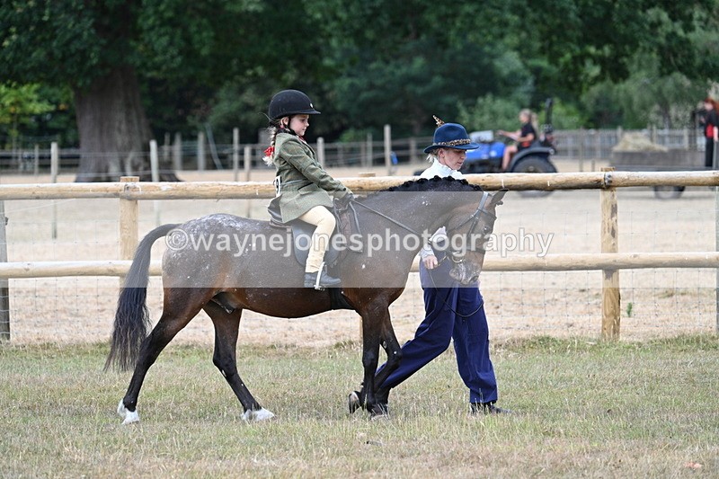 WJ7_0646 - Class 6 Ridden Mountain and Moorland