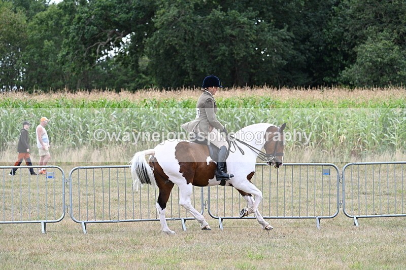 WJ7_5237 - Class 12 Ridden Cob