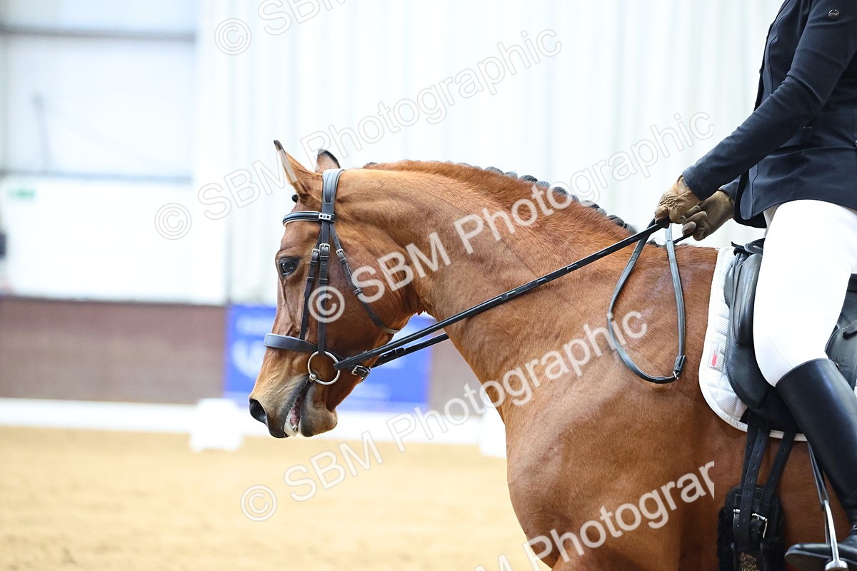 SBM_006946 - Class 17/14 - Novice & prelim FSM