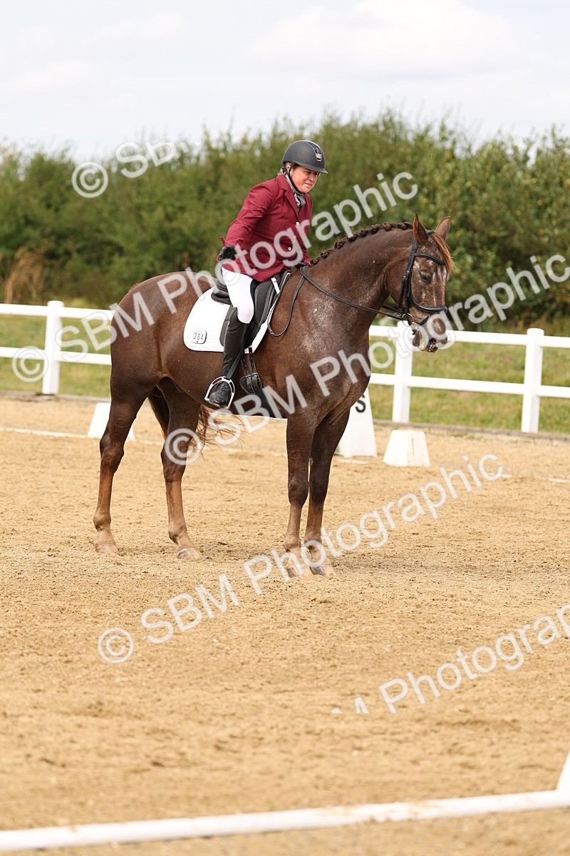 SBM_012539 - class 5 - Elementary 53 - 12.00-13.08