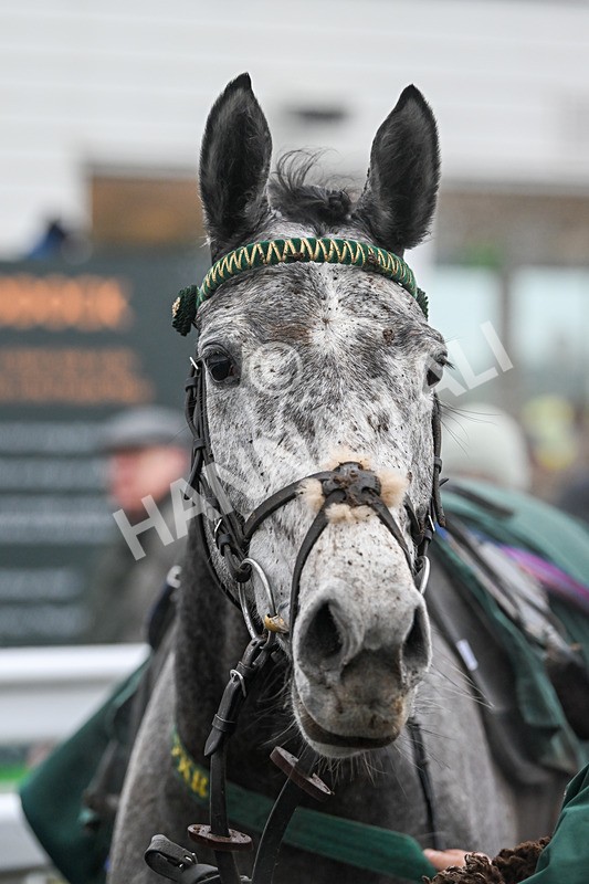 100225-Race 2-Asa-6558 - Race 2