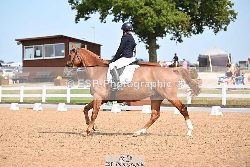 250816-134151-04895 - 080-Elizabeth.StoneZiggy