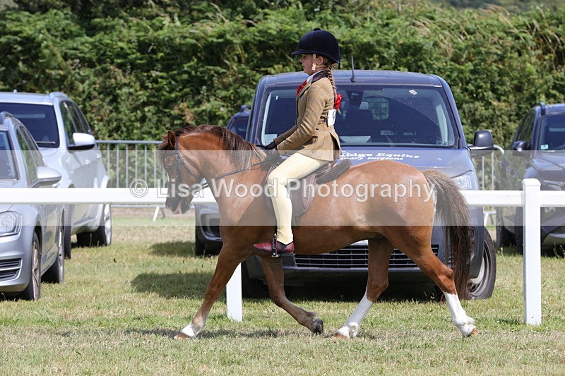 1X9A5345 - Class 37: NPS M&M First Ridden