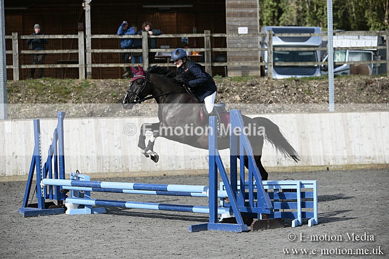BVRC SJ 170319 36 - Bourne Valley Riding Club Showjumping 17/03/19