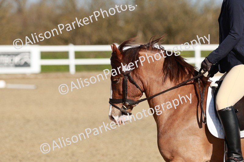 20260314-4285 - DR4 - Prelim 2