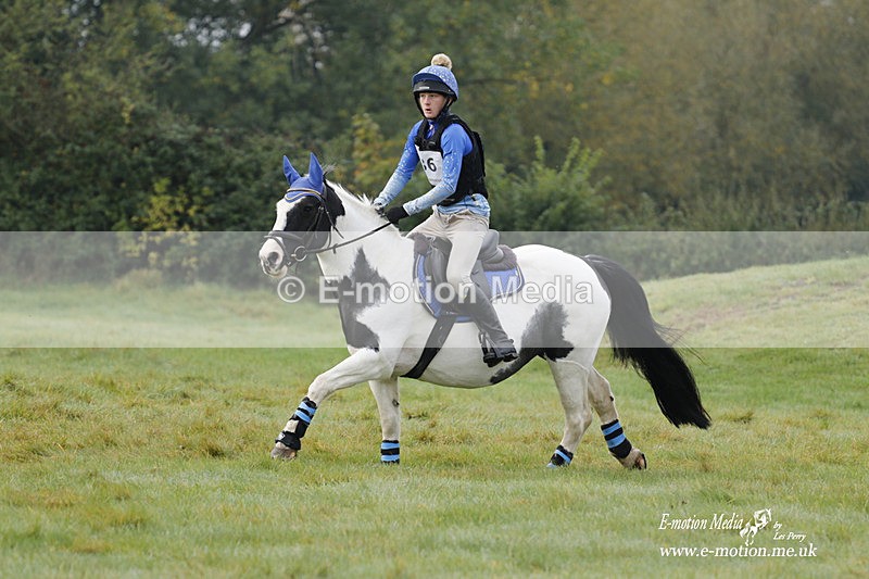 WWHT 171021 0663 - Novice Restricted (0.80m)  17/10/21