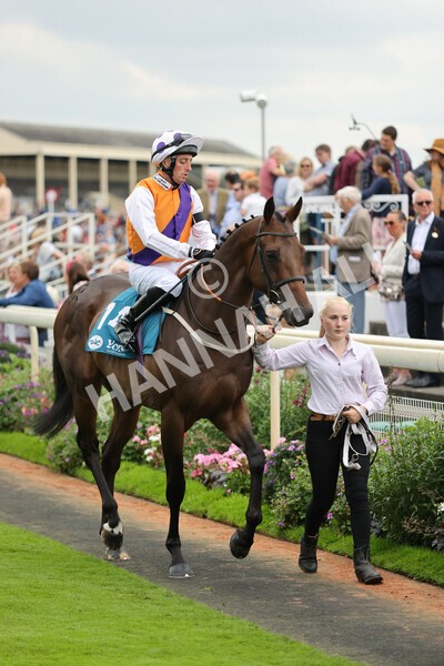 yr04092022r2-15 - Race 2 2.20pm John and Judith Marshall Memorial Stakes