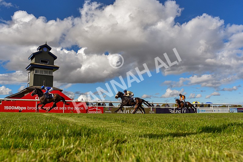 250424-Race 5-Arthurs Realm-3939 - Race 5