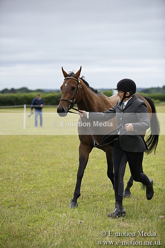 BVR160717-54 - Ring 1 BVRC Show 16/07/17