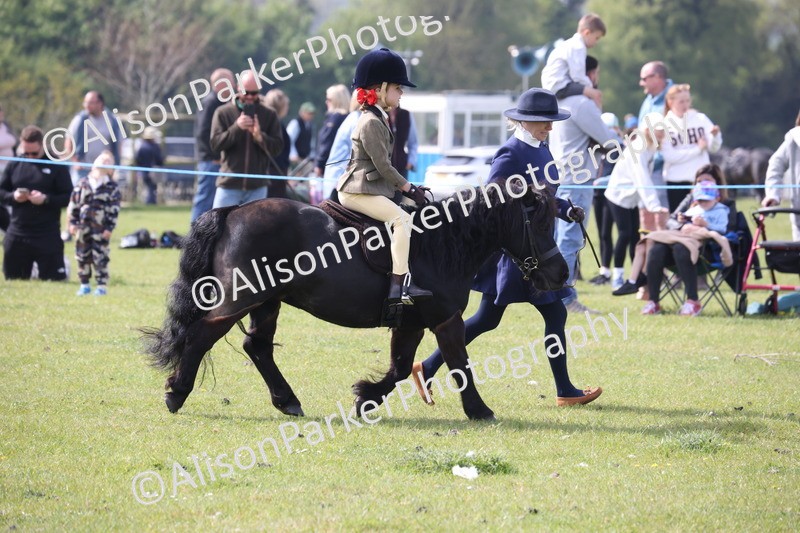 20260426-2574 - Class 31 - Leading Rein