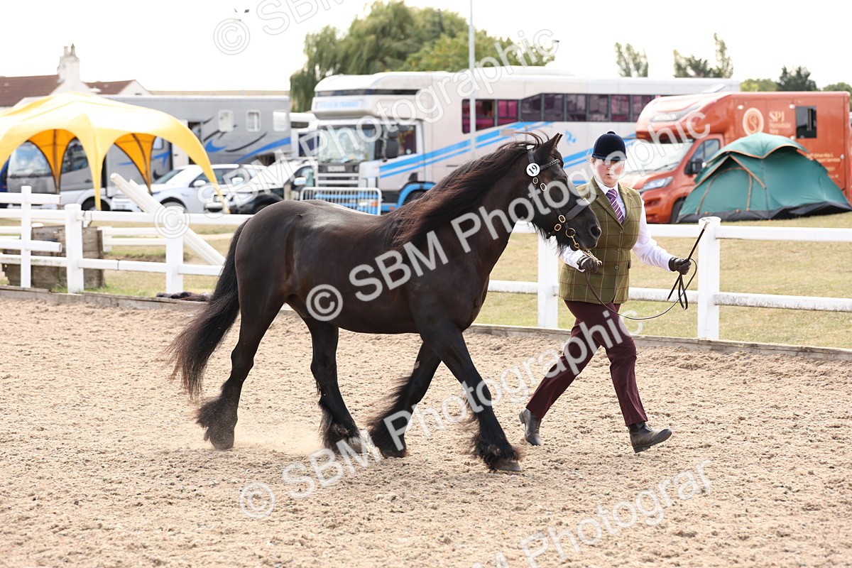 SBM_15080 - Class 209 - IH Veteran Pony
