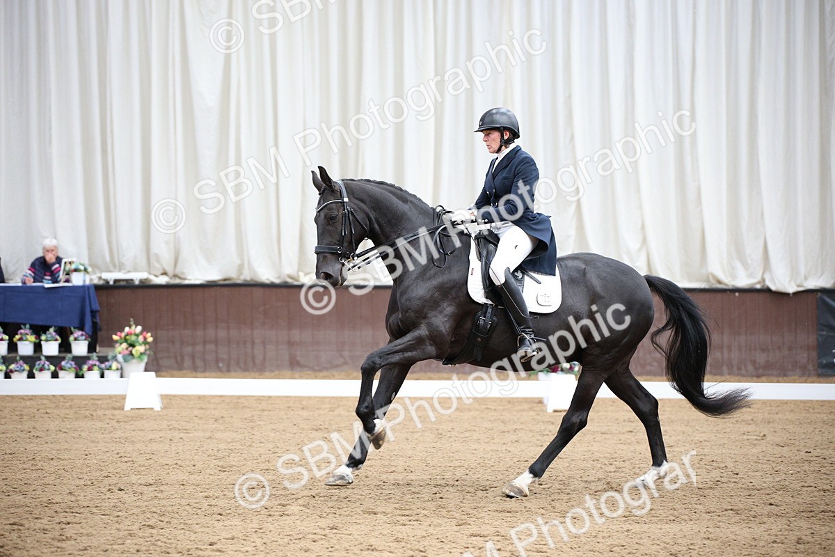 SBM_008101 - Class 12 - FEI PSG 14.46-15.50