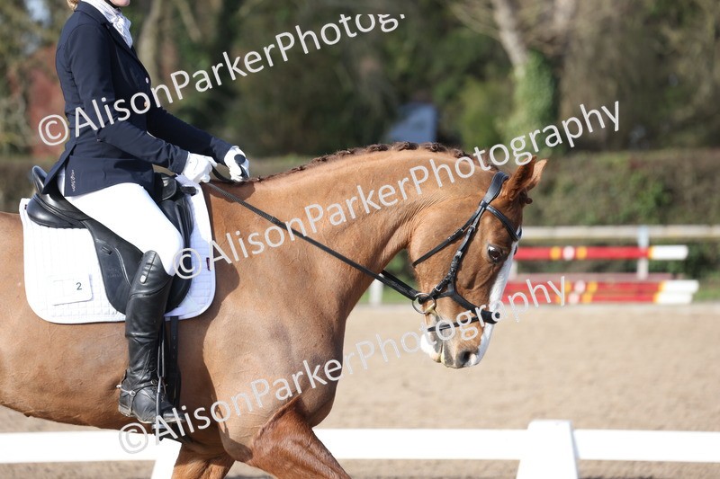 20260214-0597 - Class 5 - Novice 3