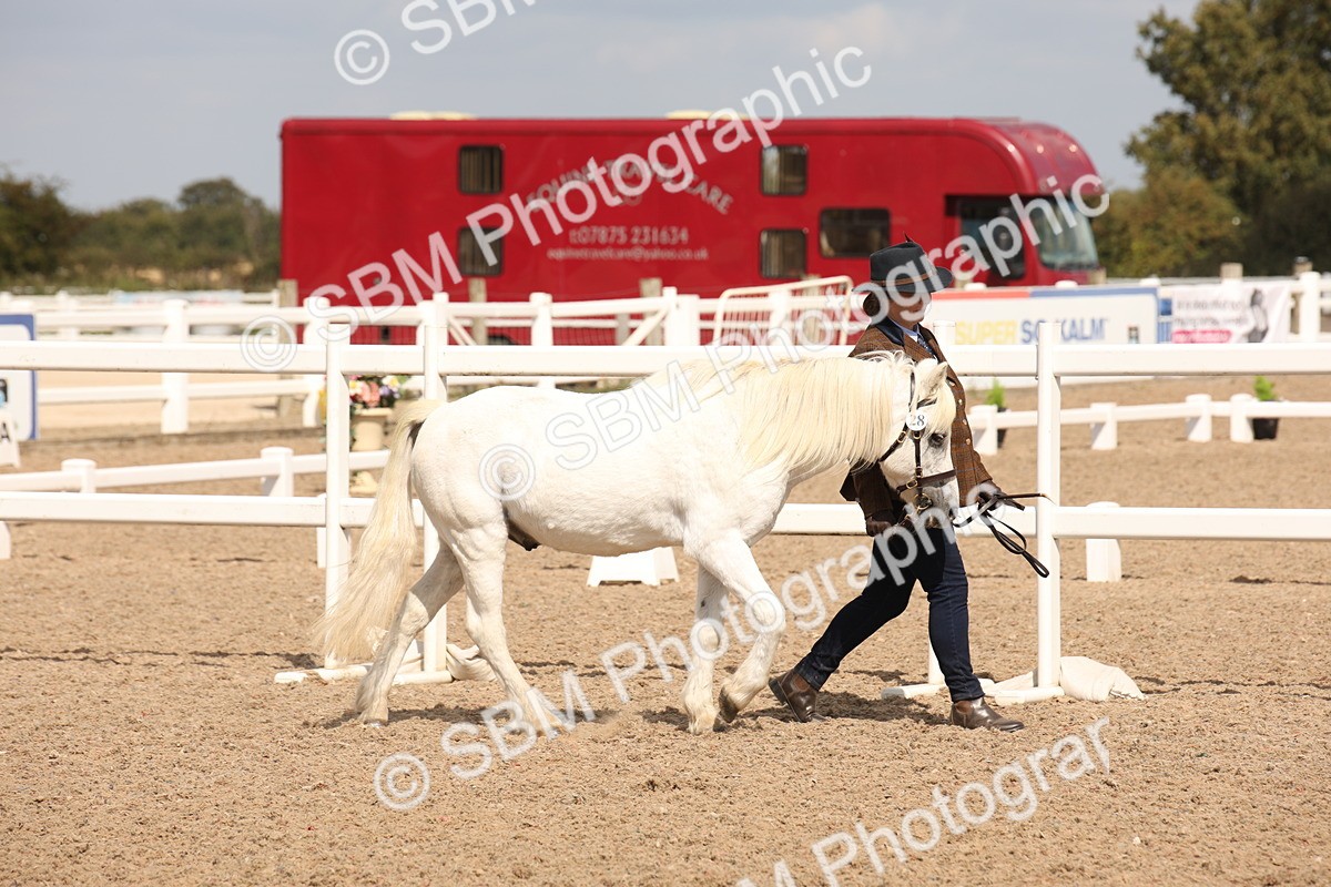 SBM_03740 - Class 19 Judge's Favourite