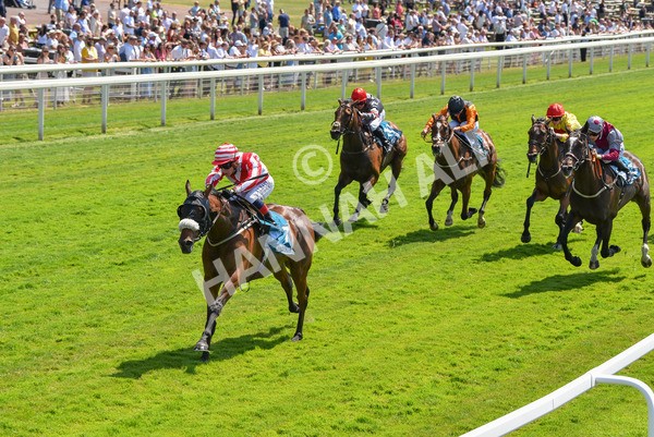 160623-Race 1-Menelaus-6149 - Race 1 1.50pm Andy Thornton Hospitality Furniture Apprentice Handicap