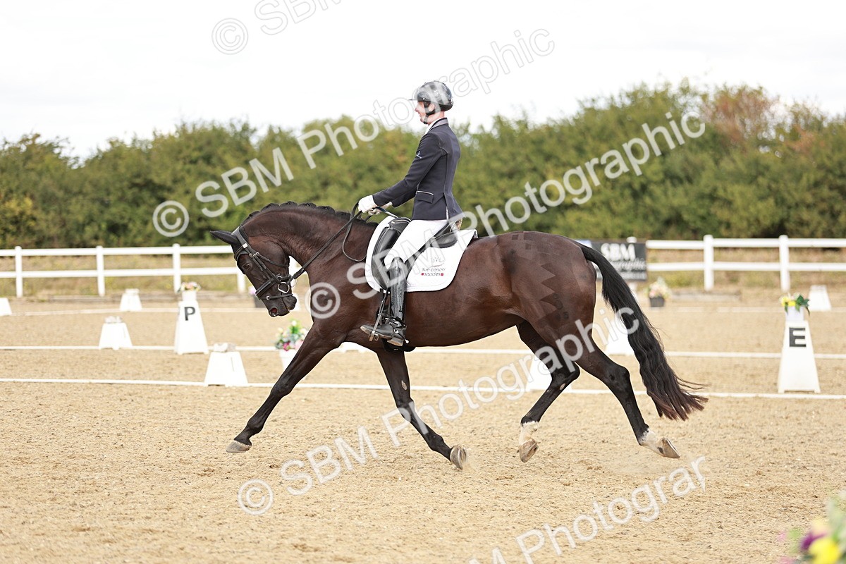 SBM_009593 - Class 11 - AM6
