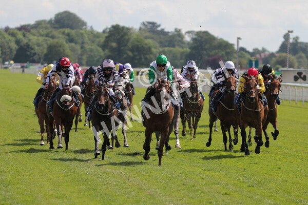 yr11062021r3-17 - Race 3 2.55pm SKF Rous Selling Stakes