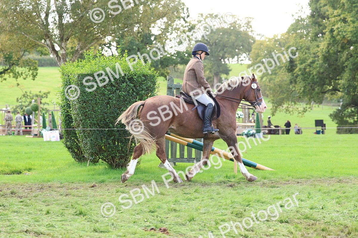 SBM_47613 - S28 - Veteran Ridden