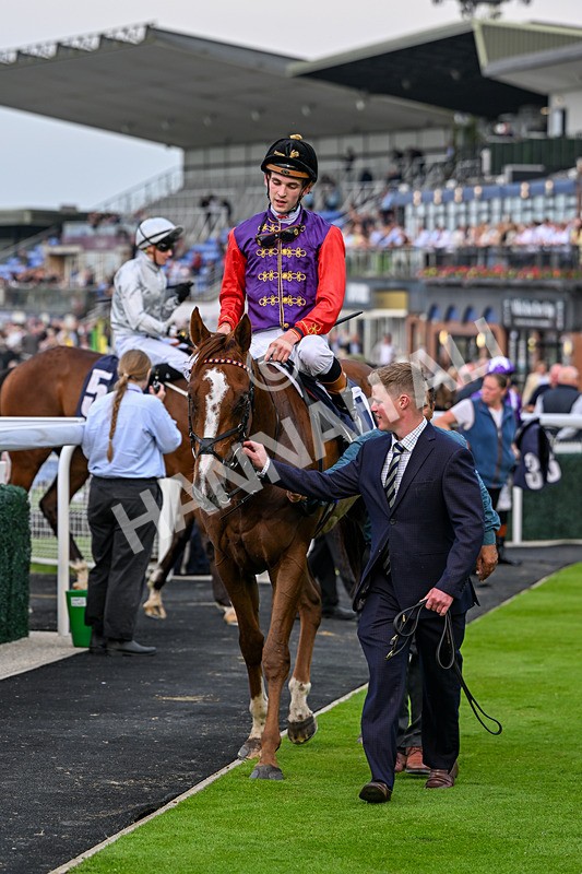 160626-Race 2-Lorcas Waltz-3877 - Race 2 19.00pm Connexin Ultrafast Maiden Stakes