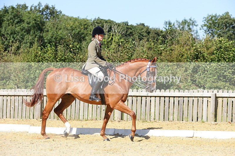 1X9A7866 - Class 10:Riding Horse