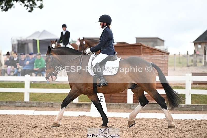 250705-175533-03115 - N3 Section BDNOV3 15.55 to 17.19