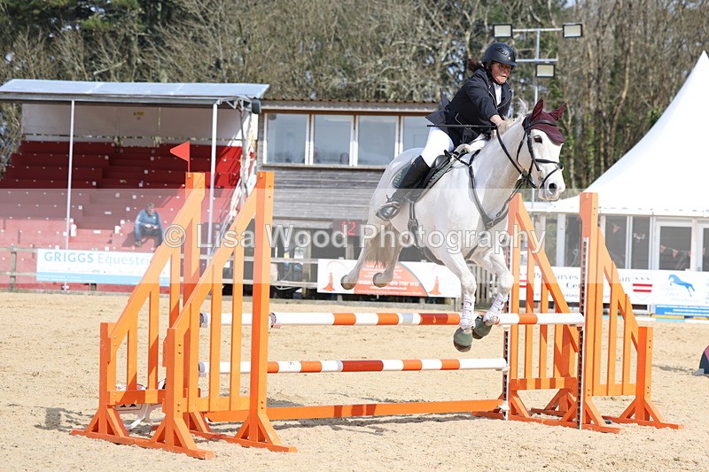 3E7A6675 - Class 4: Senior British Novice/90cm open