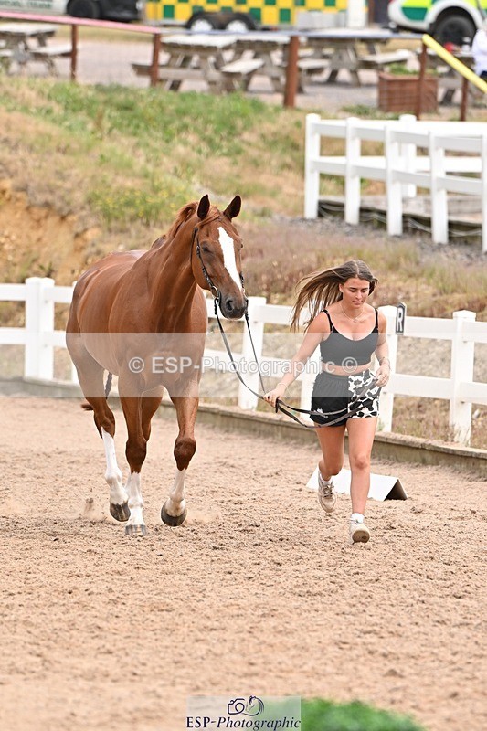 250716-144503-01361 - Trot Up 2.30 to 3.30
